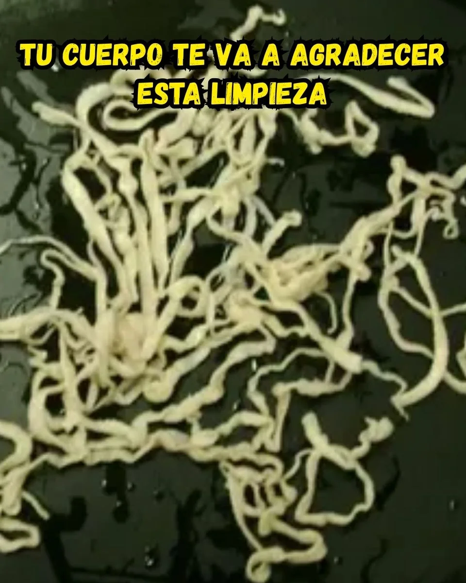 Habitudes alimentaires durables